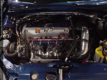 daytona Show Images Page 1