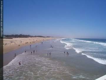 pismobeach Show Images Page 1