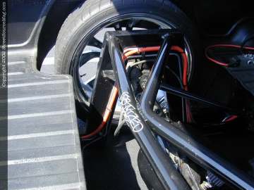 tarheel Show Images Page 2