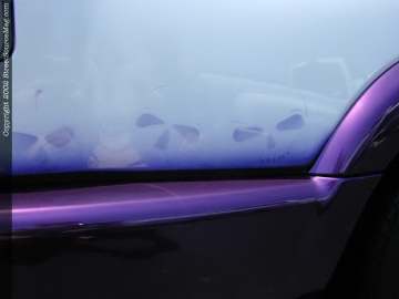 tarheel Show Images Page 4