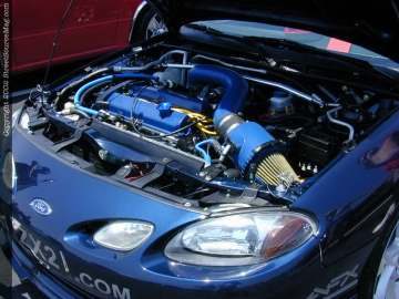 tarheel Show Images Page 5