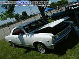 northwestmotOrfest Show Images Page 3