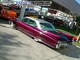 sema Show Images Page 4