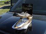 Gator Drag 06 Trophy... Crazy Cajuns!!