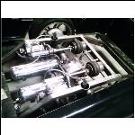 Just an Idea Of What The Inner Bed Will Look Like