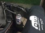 reppin dmt and pbr.