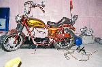1968 Show Bikes Triumph