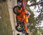 2006 CBR600rr....aka Tony The Tiger lol