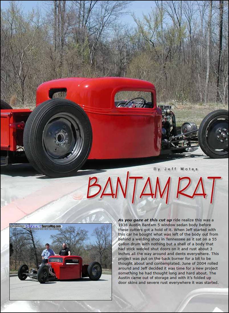 Bantam Rat